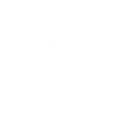 ParkMi